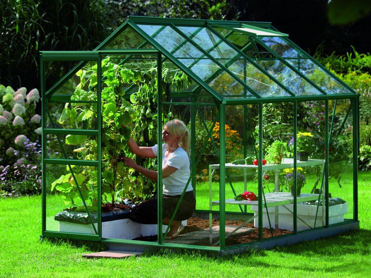 Vitavia Venus 5000 ESG 3mm, grün