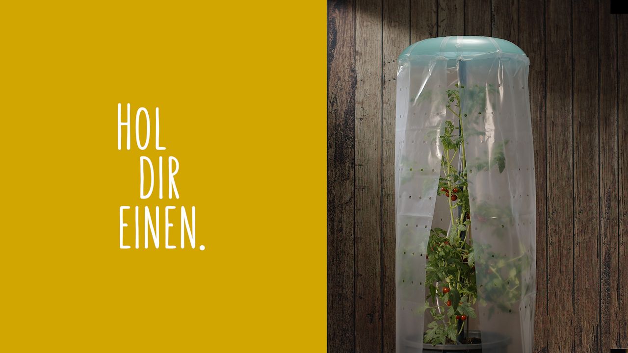 KHW KHW Tomatenhut 1er Set inklusiv Stab und Schutzfolie