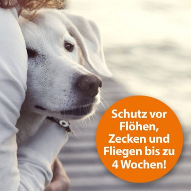 Ardap Insektenspray ARDAP® Flohspray zur Anwendung am Tier 250ml
