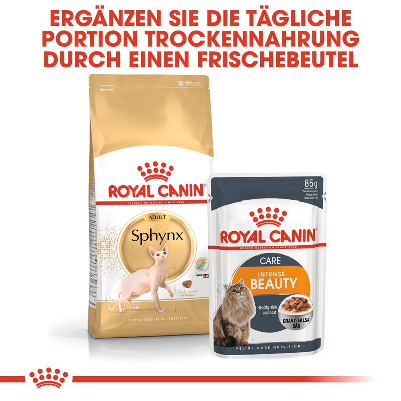 ROYAL CANIN Trockenfutter ROYAL CANIN Sphynx Adult 10 kg