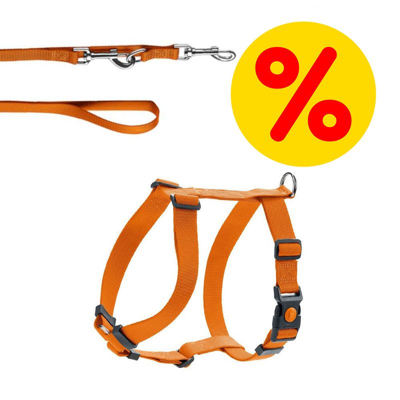 Sparset HUNTER Führleine + Geschirr London Vario Rapid, orange
