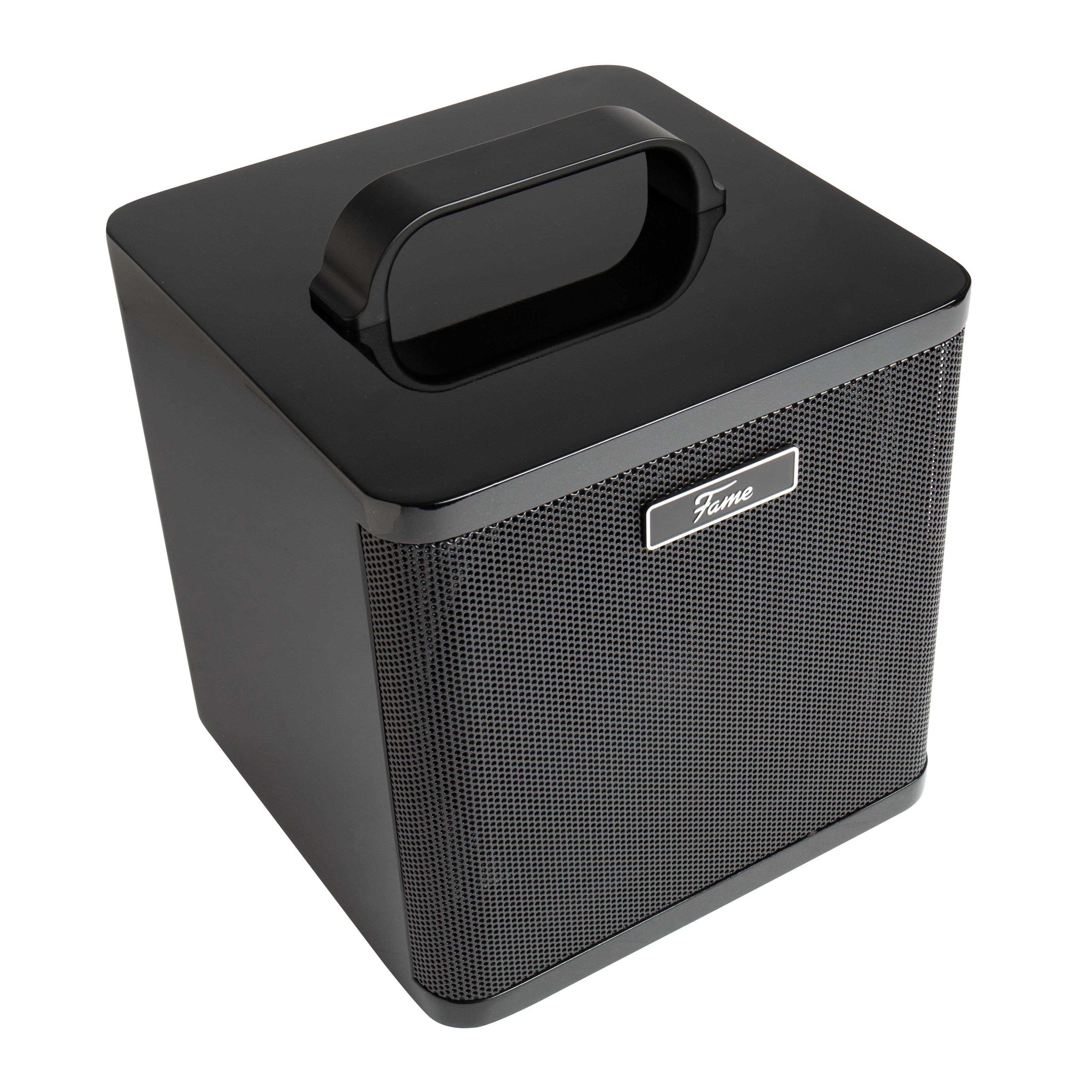 FAME Verstärker (AG-40A Acoustic Amp - Akustikgitarren Verstärker)