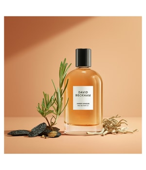 David Beckham Amber Breeze Eau de Parfum-100 ml