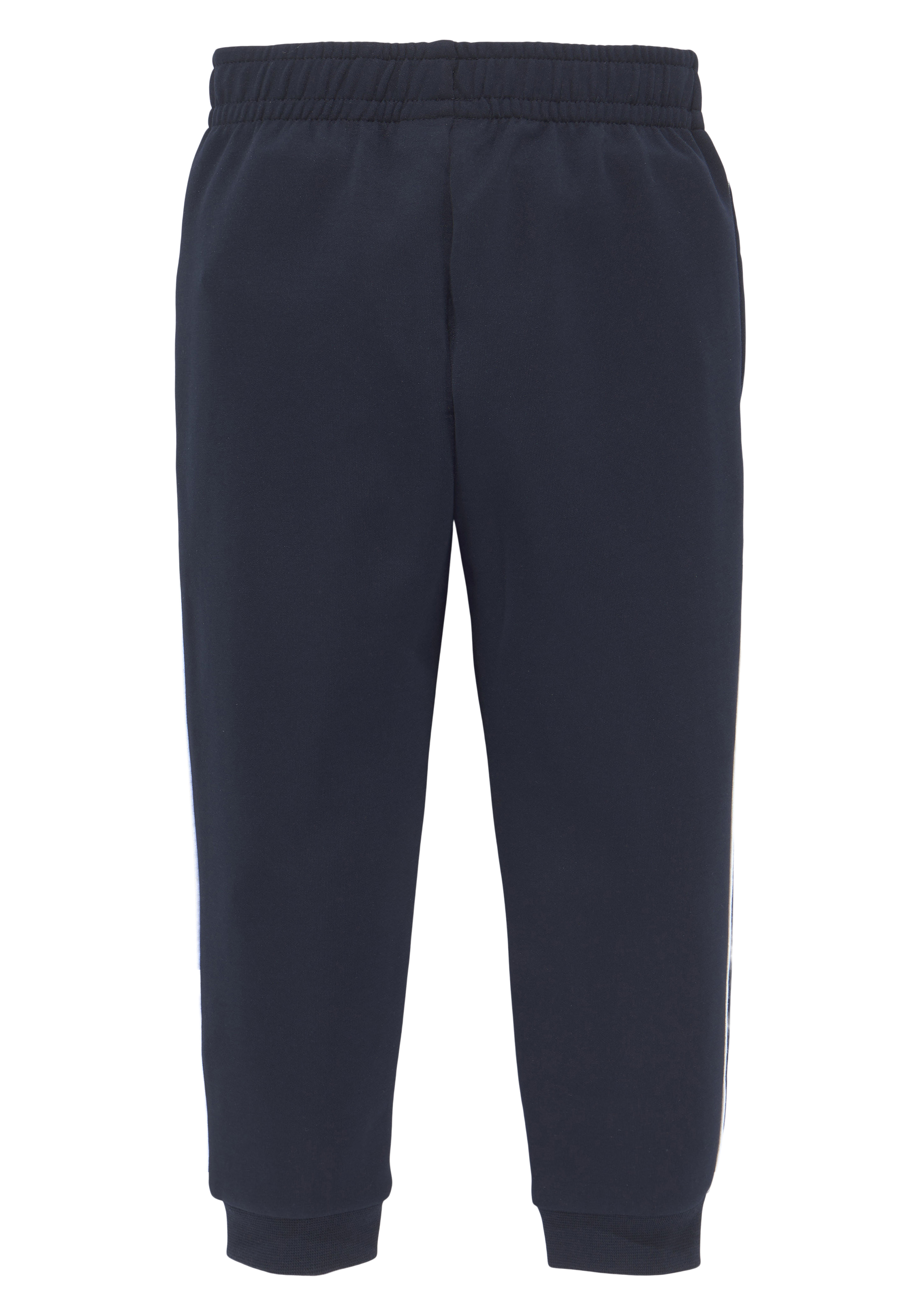 Tapered Pants