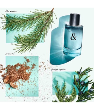 Tiffany & Co. & Love for Him Deodorant Spray-150 ml