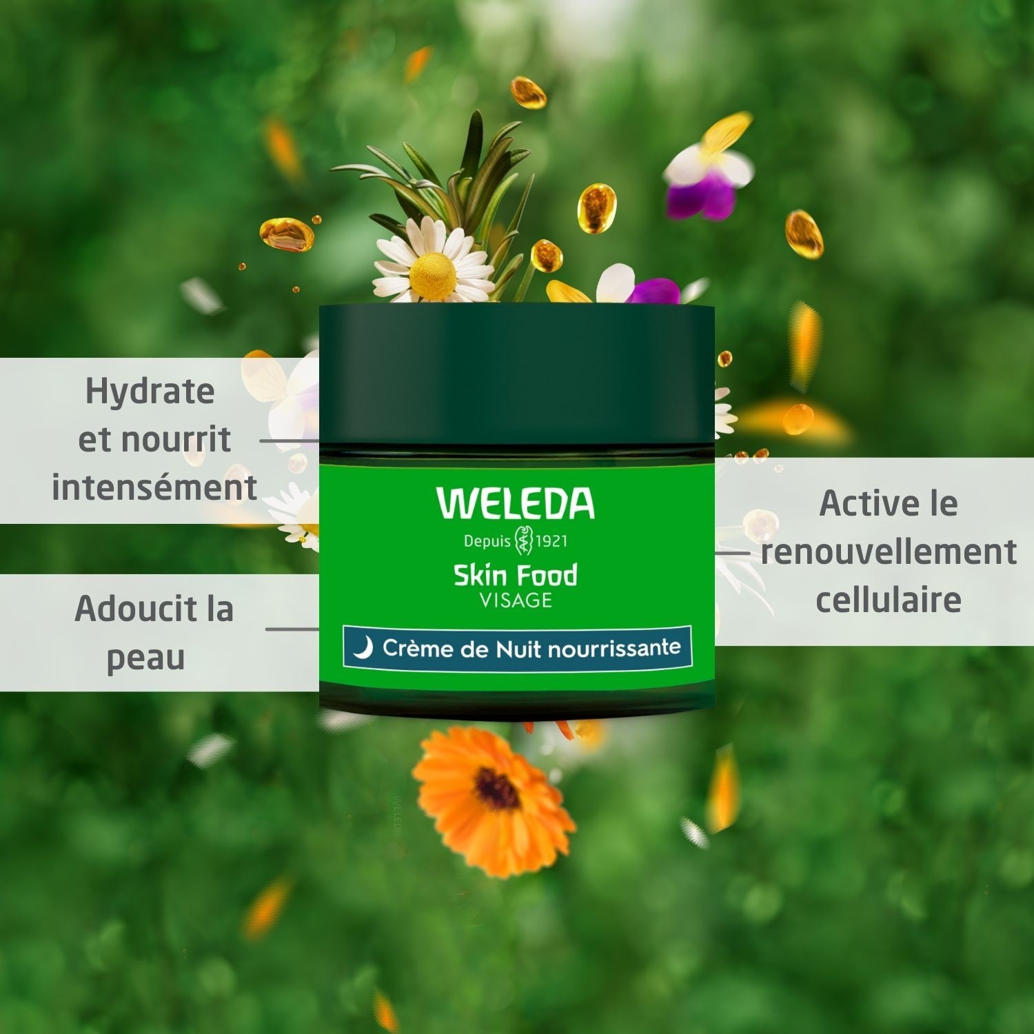 Weleda Skin Food Nährende Nachtcreme