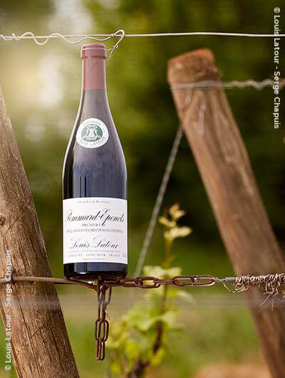 Louis Latour : Pommard 1er cru 