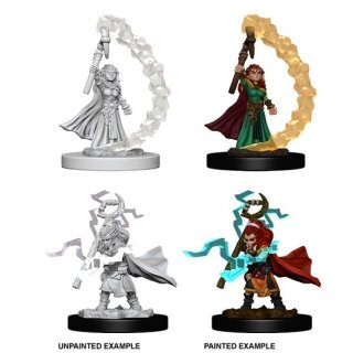 Gnome Female Sorcerer: Pathfinder Deep Cuts Unpainted Minis