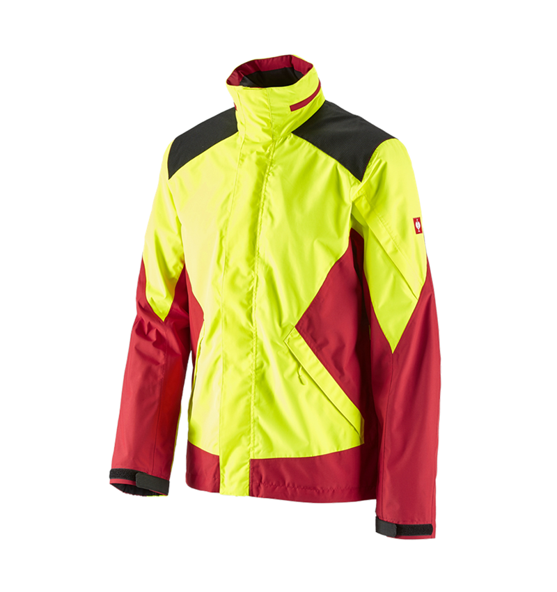 e.s. Forst-Regenjacke