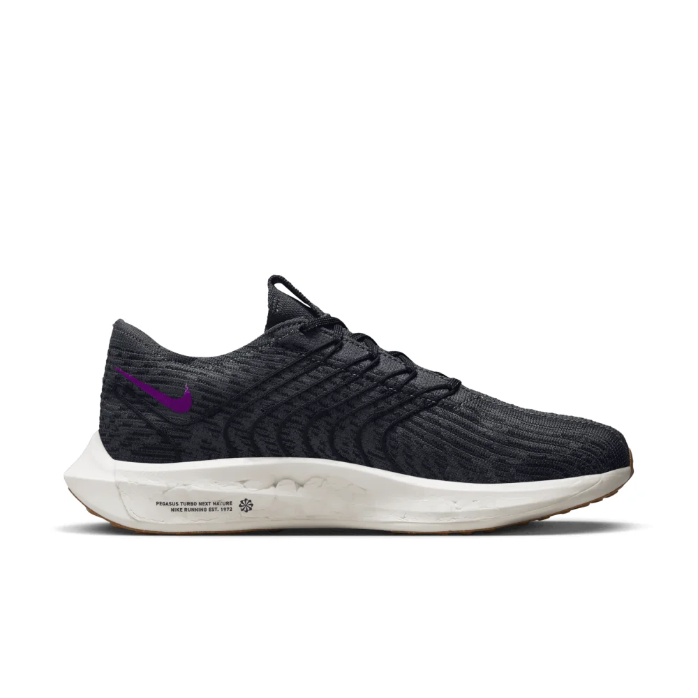 Nike Pegasus Turbo Next Nature DM3413-003 / schwarz