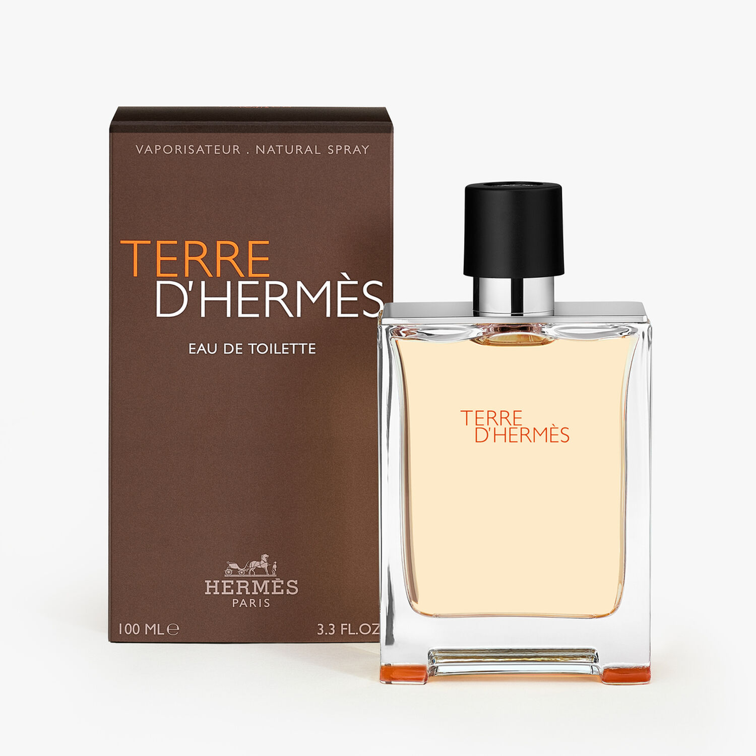 Hermès Terre d'Hermès Eau de Toilette