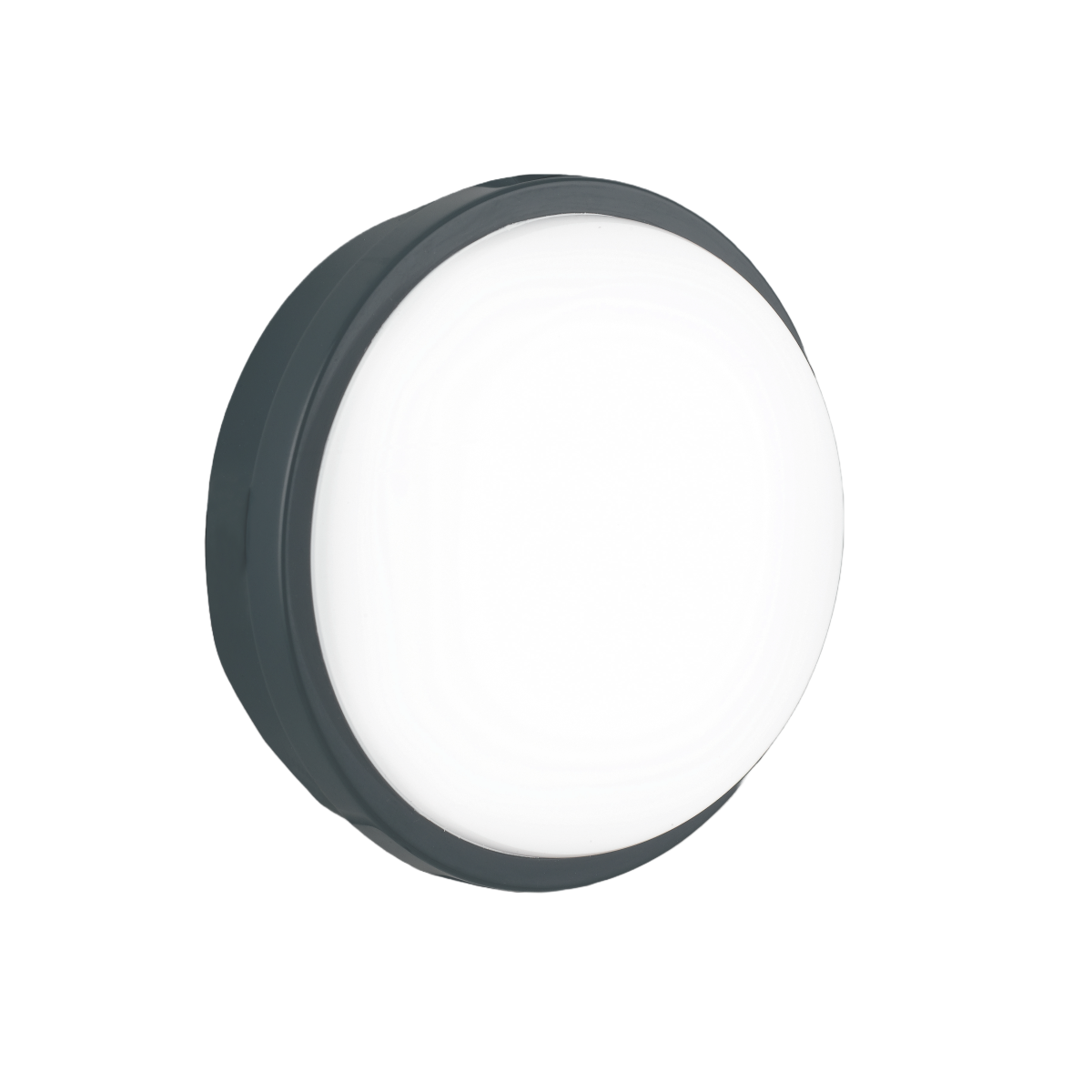 LED Außenwandleuchte Ever-L-ANT