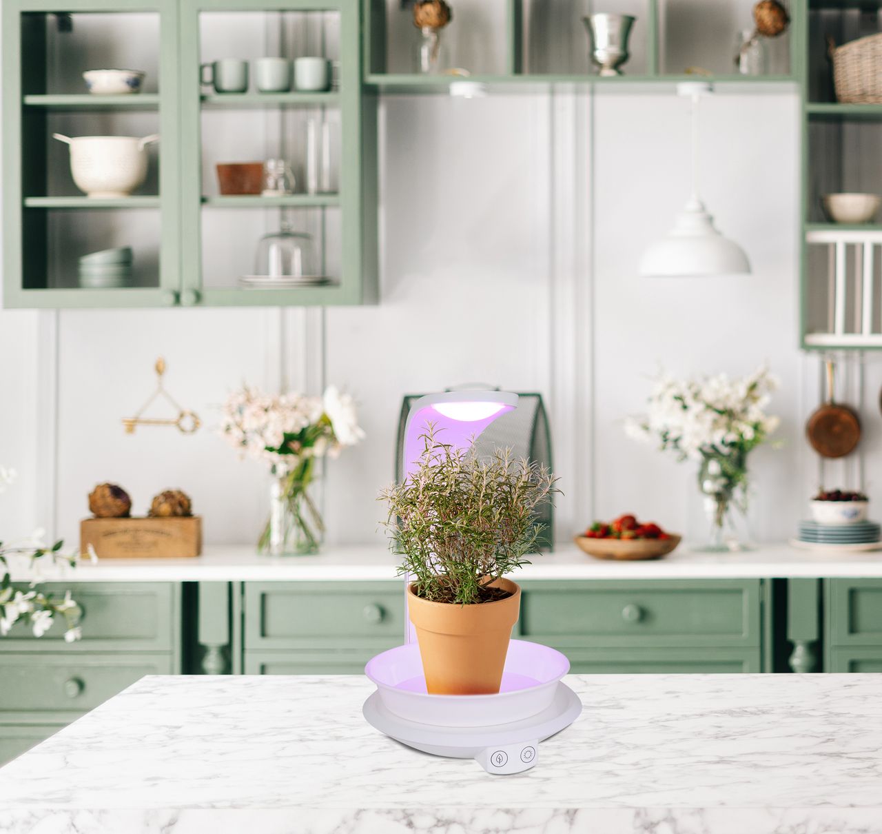 Näve Leuchten LED Pflanzen-Tischleuchte h:24cm