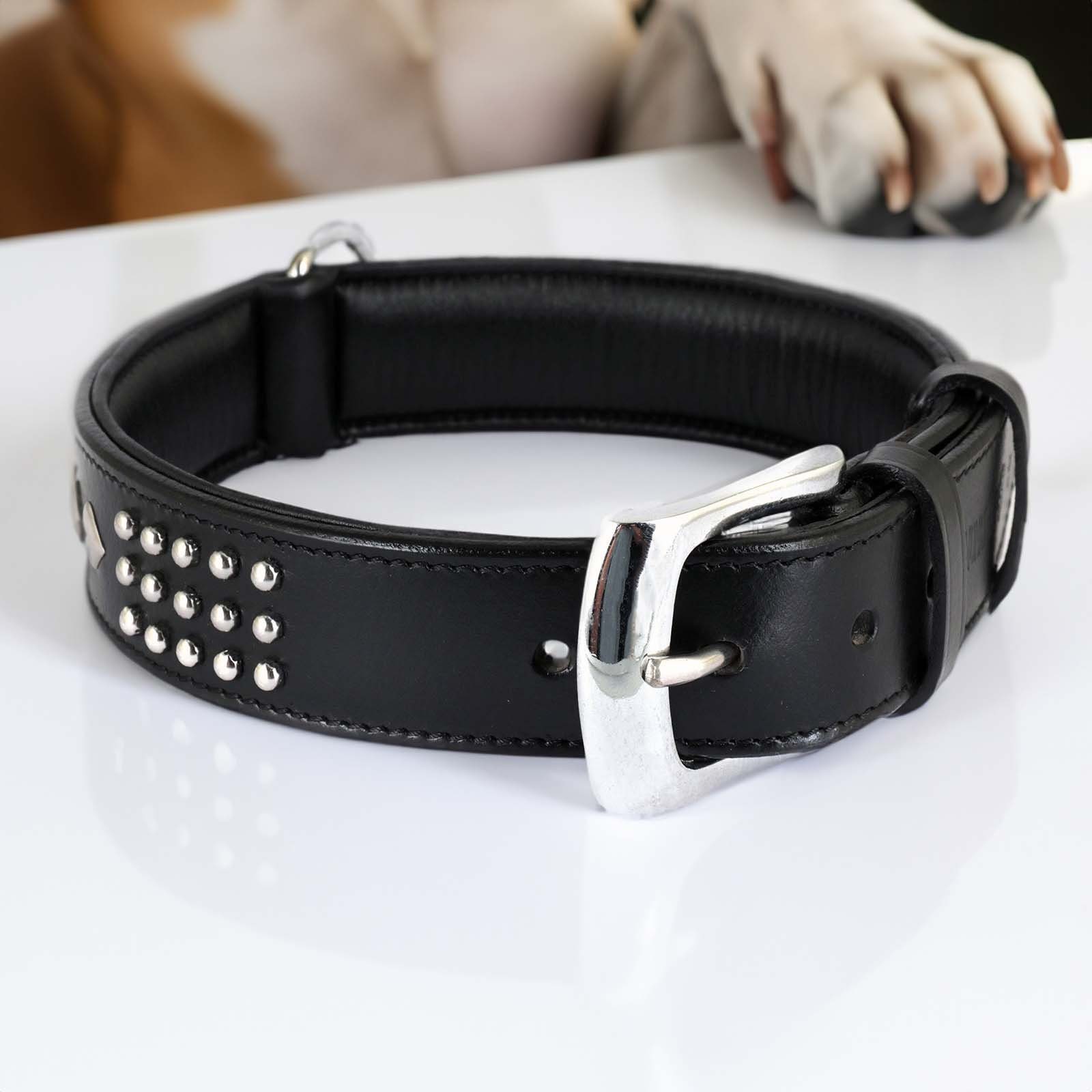 Monkimau Hunde-Halsband Hundehalsband aus Leder mit Nieten, Leder