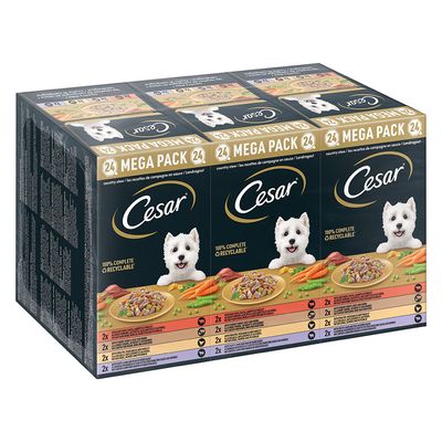 Megapack Cesar Schale 24 x 150 g