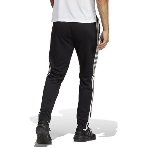 HERREN SPORTHOSE TRAIN ESSENTIALS 3-STREIFEN