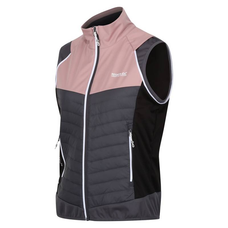 Regatta Steren Outdoorjacke Damen