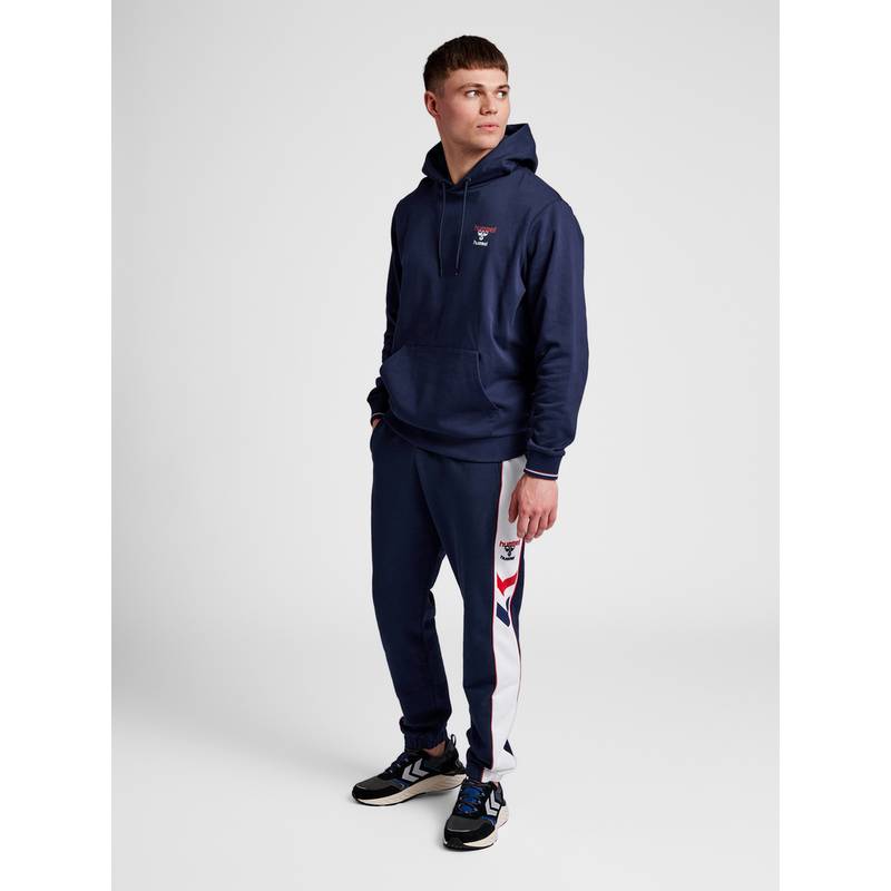 hummel hmlIC DAYTON HOODIE Hoodie