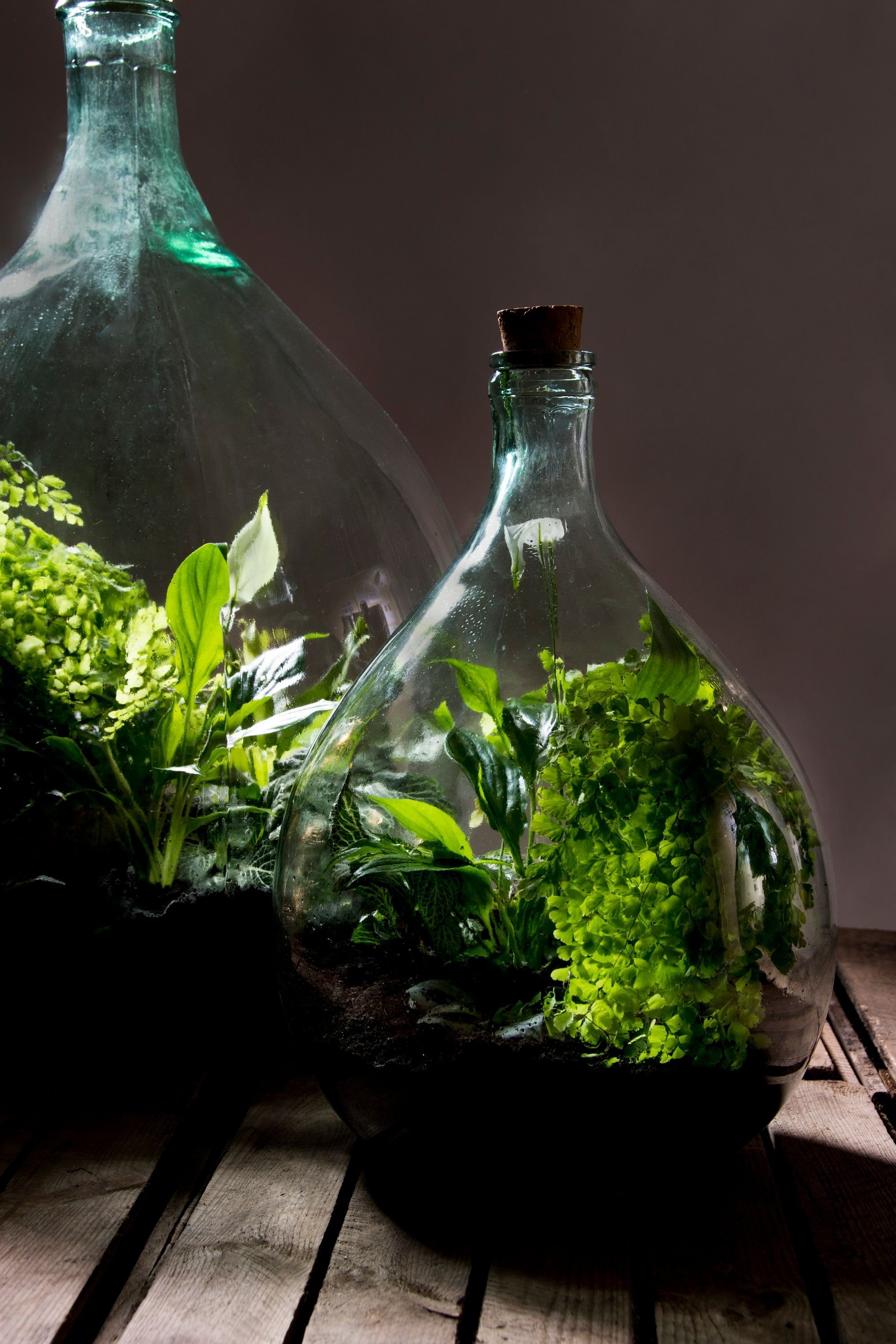 esschert design Übertopf Esschert Design Blumenerde 2 kg 5 Liter Terrarium Gewächshaus Erde Substrat
