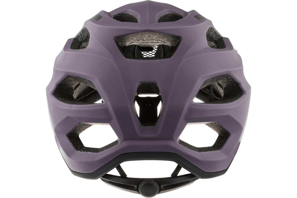 Alpina Carapax 2.0
