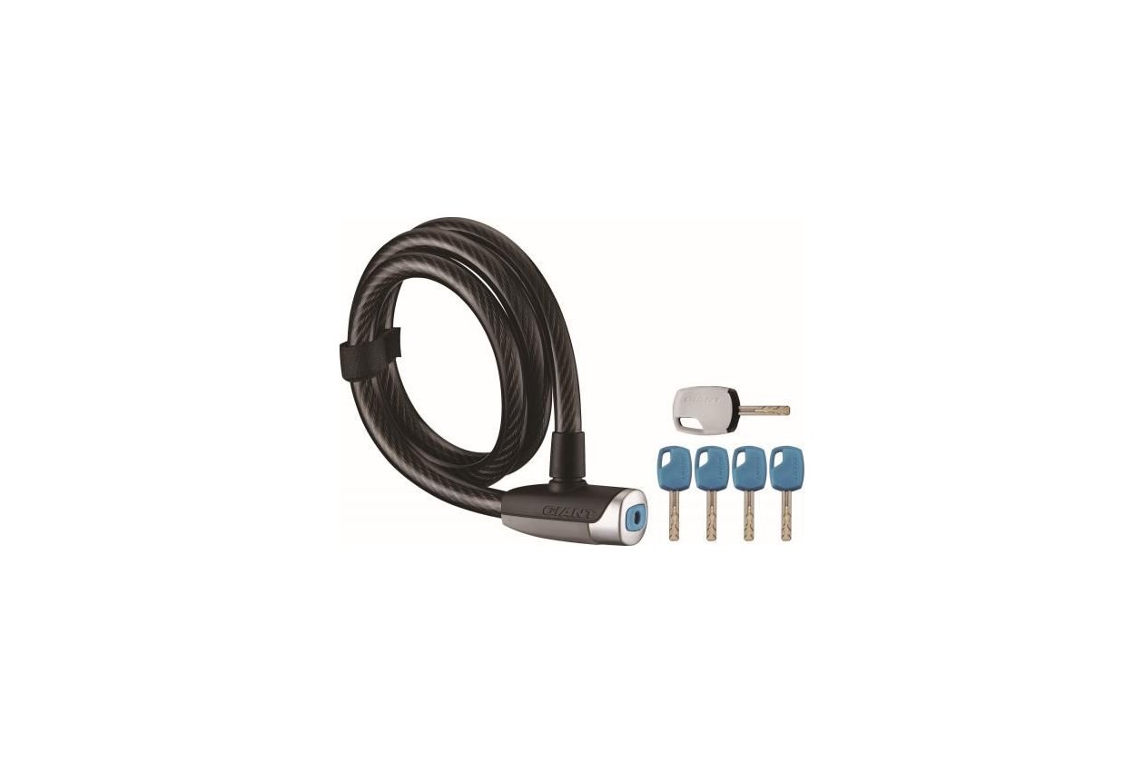 Giant Schloss Surelock Flex Key 15