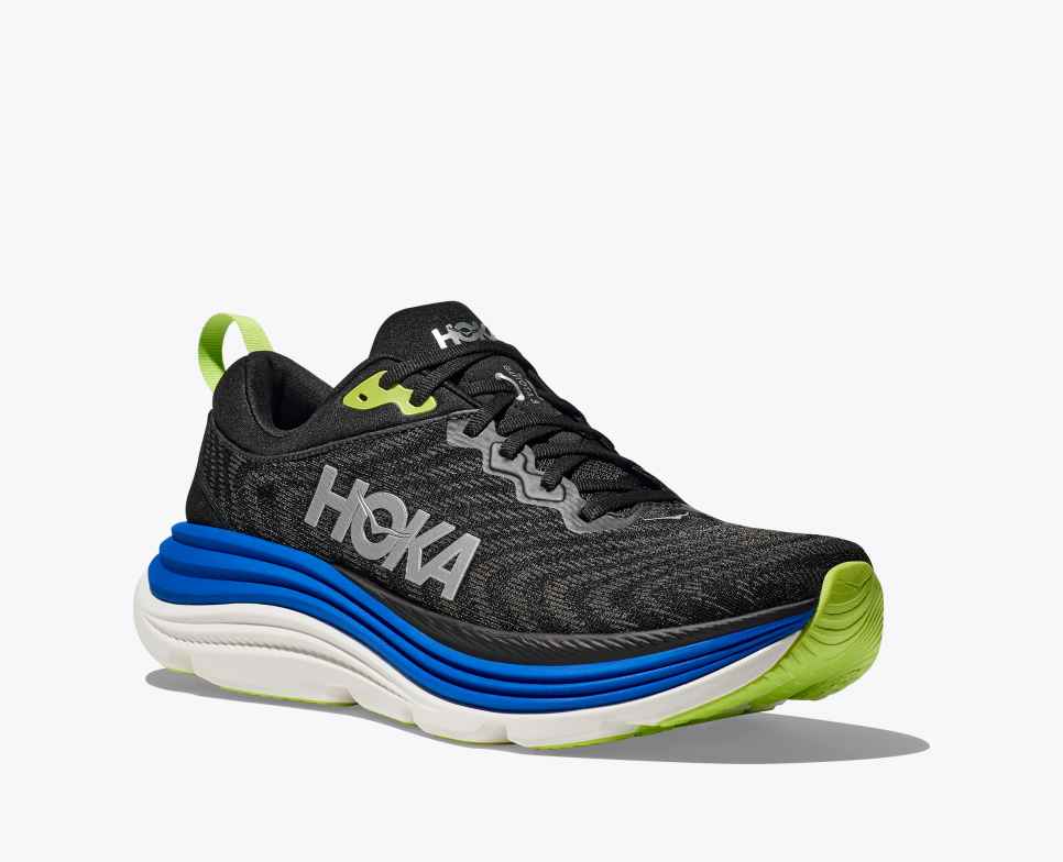 Gaviota 5 Black / Electric Cobalt