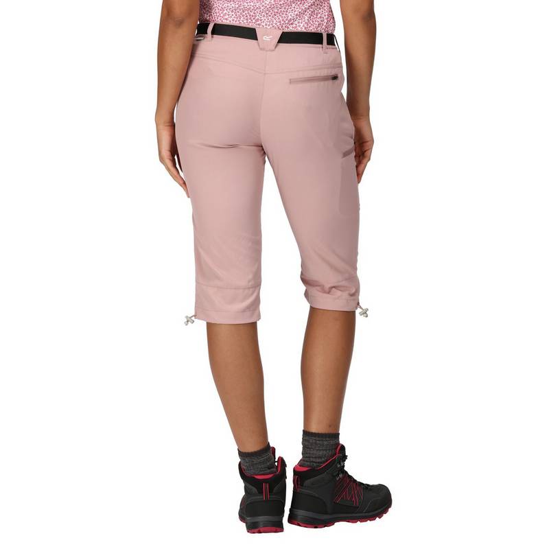 Regatta Xert Capri Wanderhose Damen