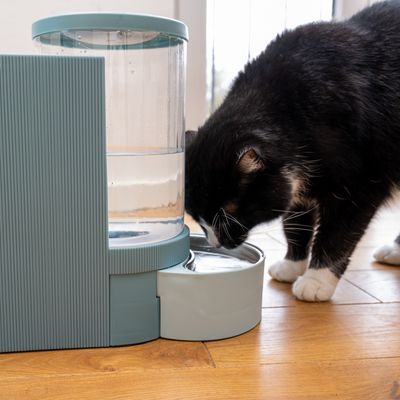 TIAKI Futter- und Wasserspender, hellblau
