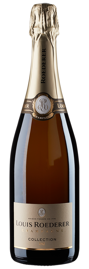 Collection 244 Brut