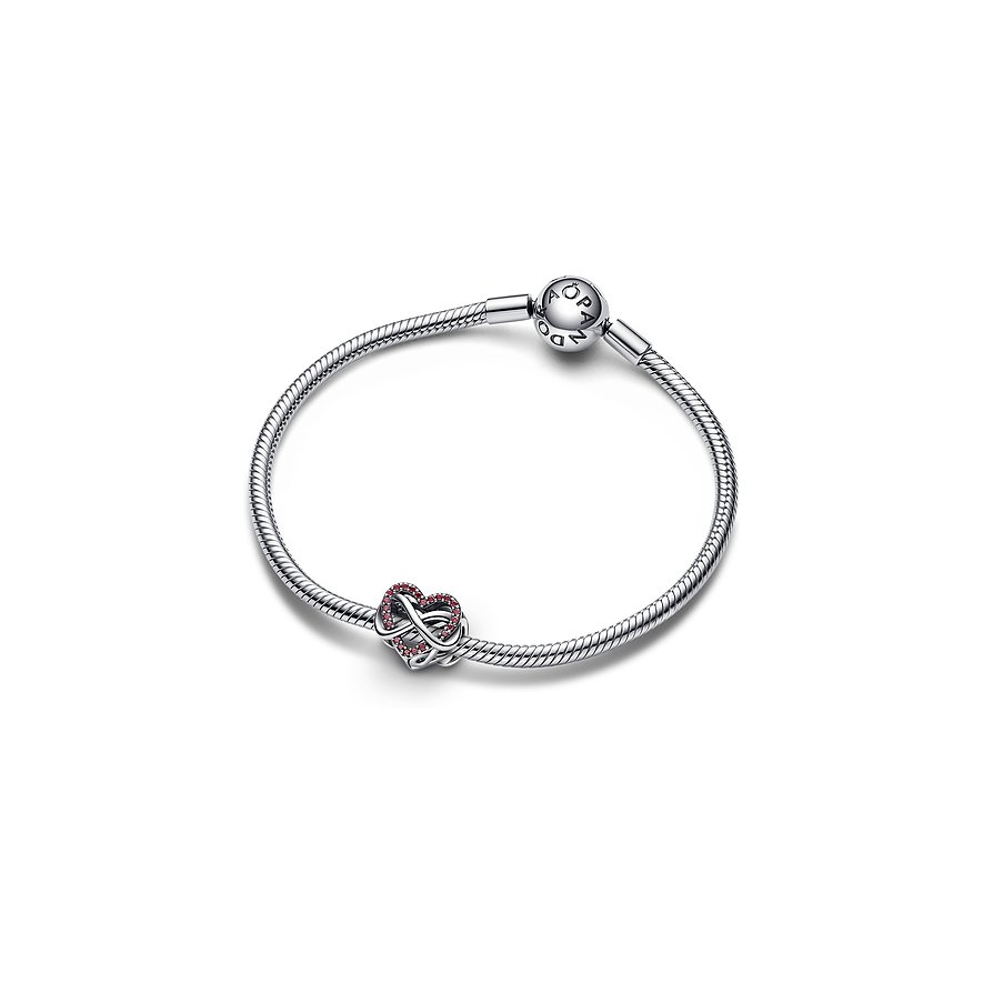 Pandora Charm Moments
