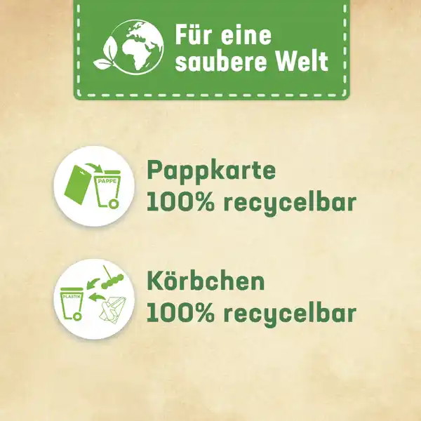 Türkis Kraft-Aktiv Duftspüler Meeresfrische