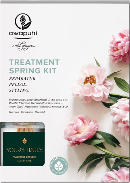 Paul Mitchell Awapuhi Wild Ginger Treatment Spring Kit Haarpflegeset