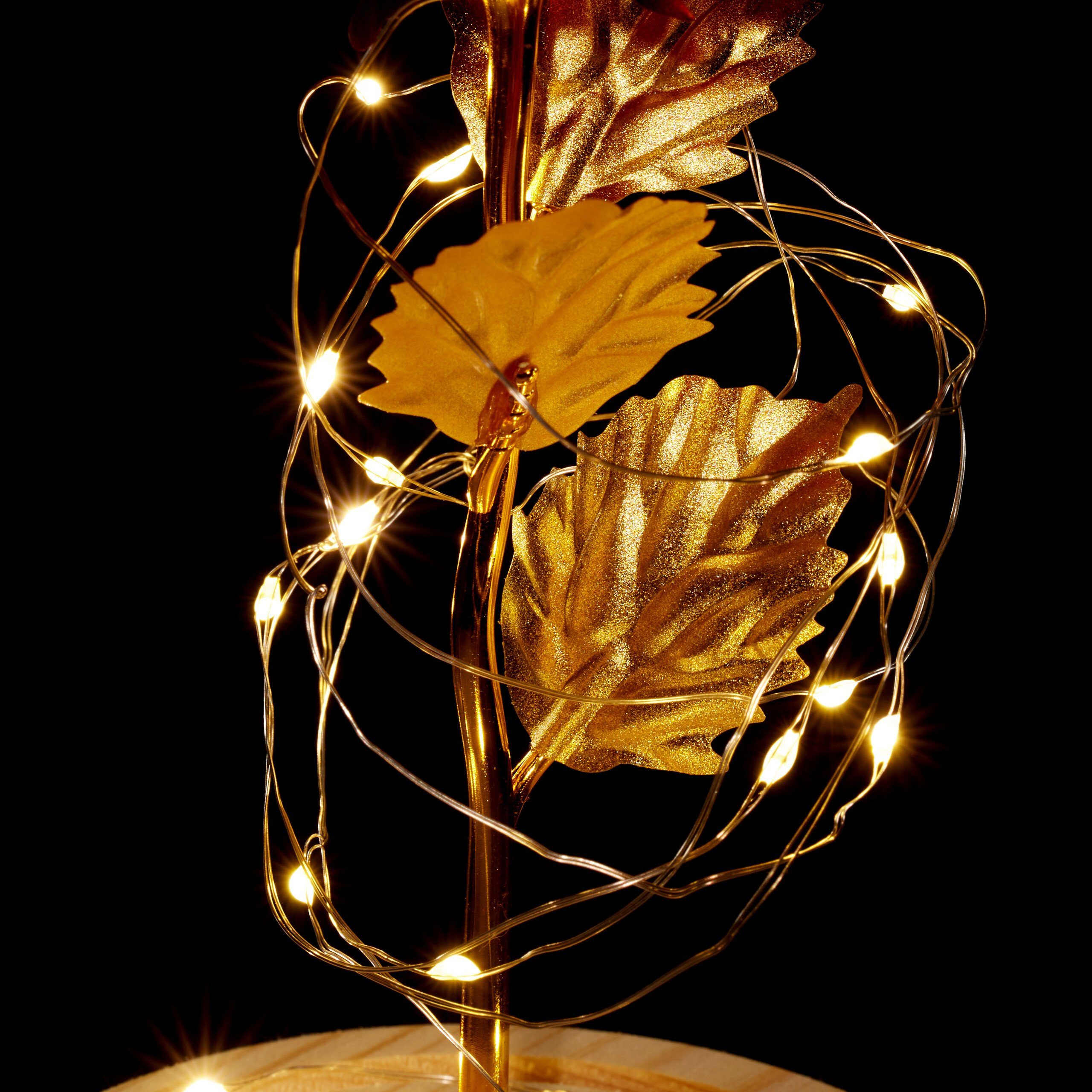 Kunstblume Ewige Rose im Glas, relaxdays, Höhe 22 cm