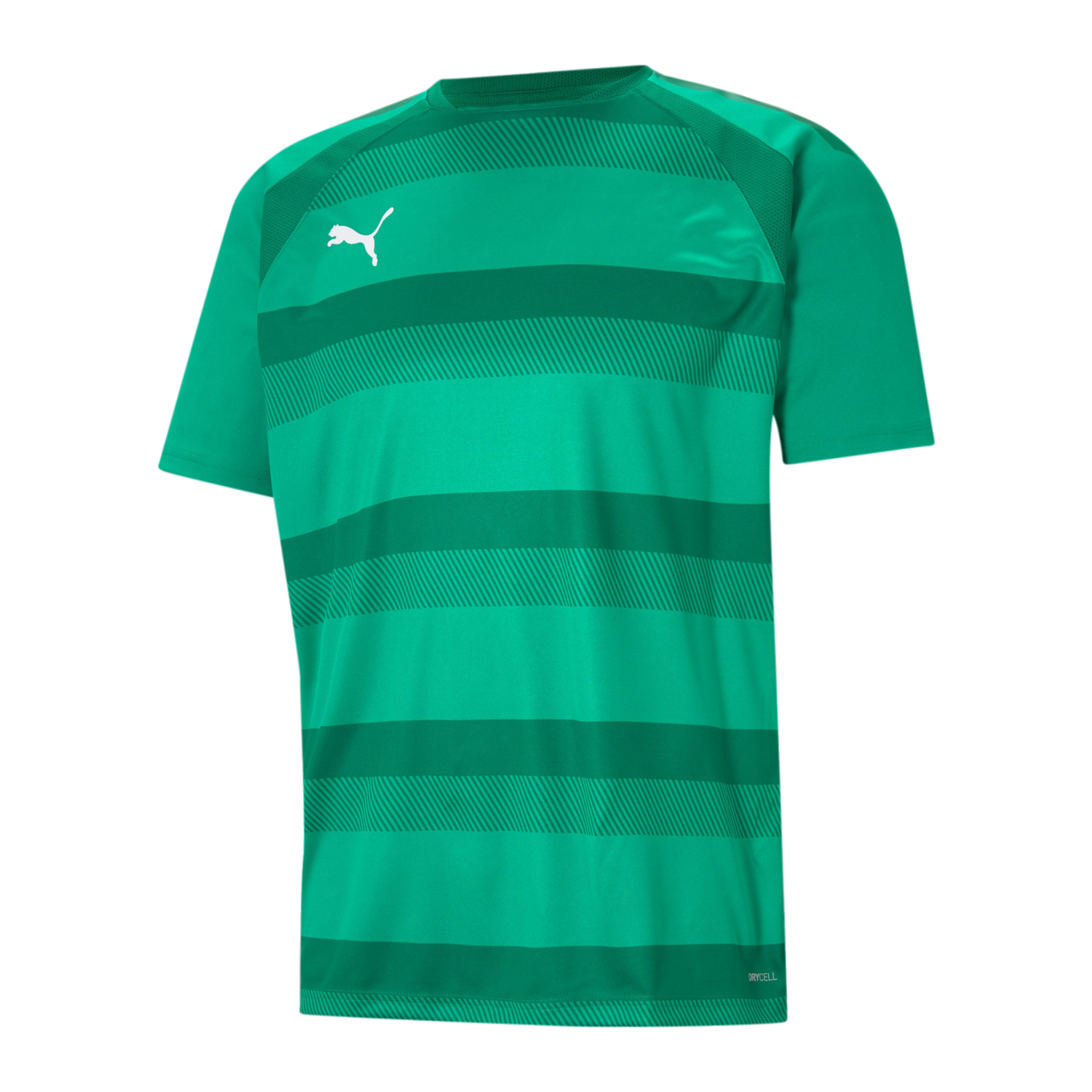 PUMA teamVISION Trikot Grün F05