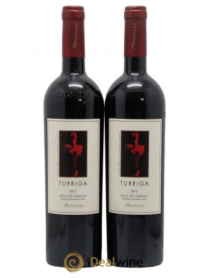 Isola dei Nuraghi IGT Turriga Argiolas  2013 - Lot de 2 Bouteilles