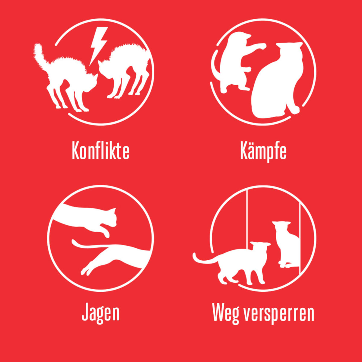 Pheromonverdampfer Starter Set \Friends\ für Katzen, 48 ml