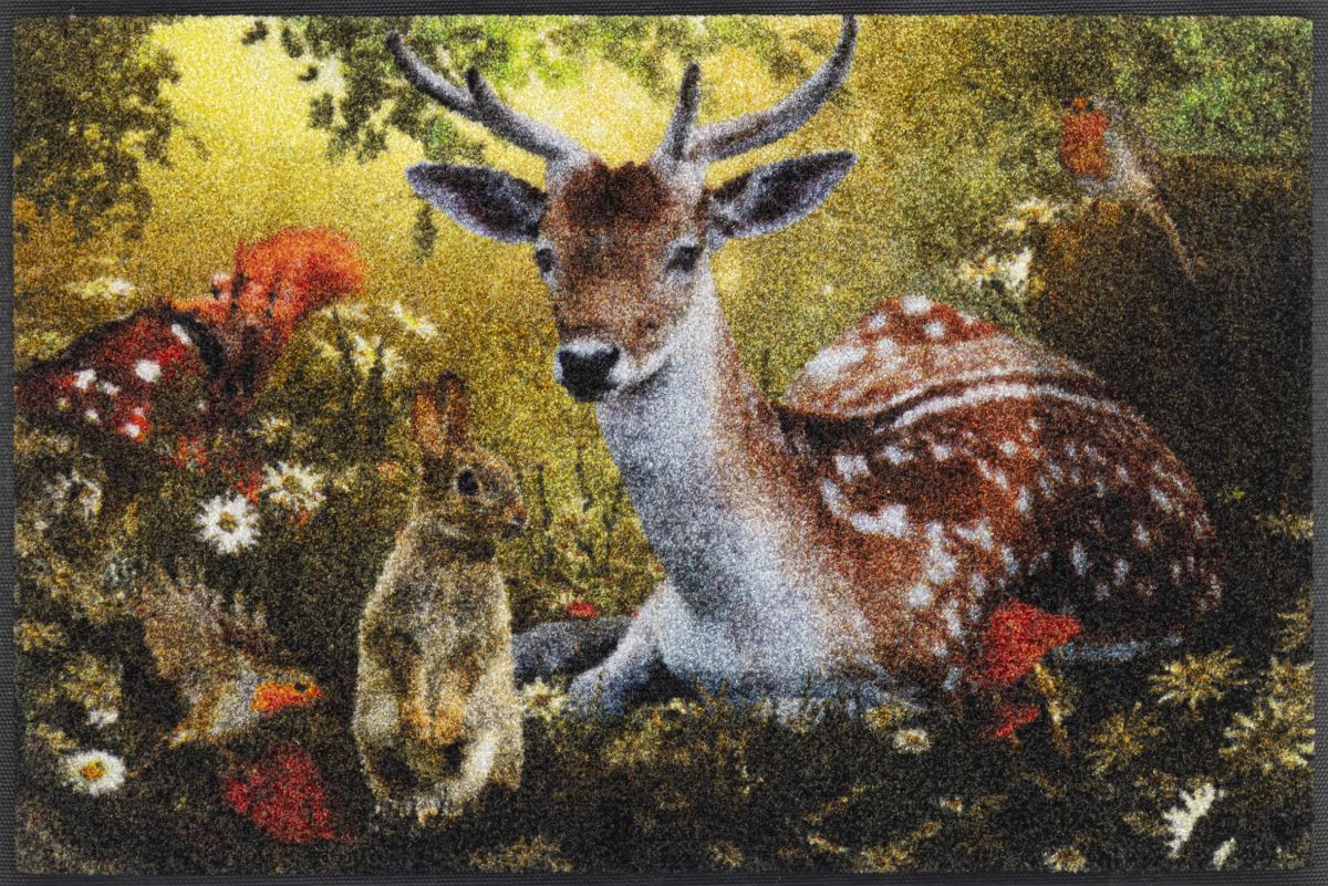 Fußmatte wash dry Forest Whisper 50 x 75 cm