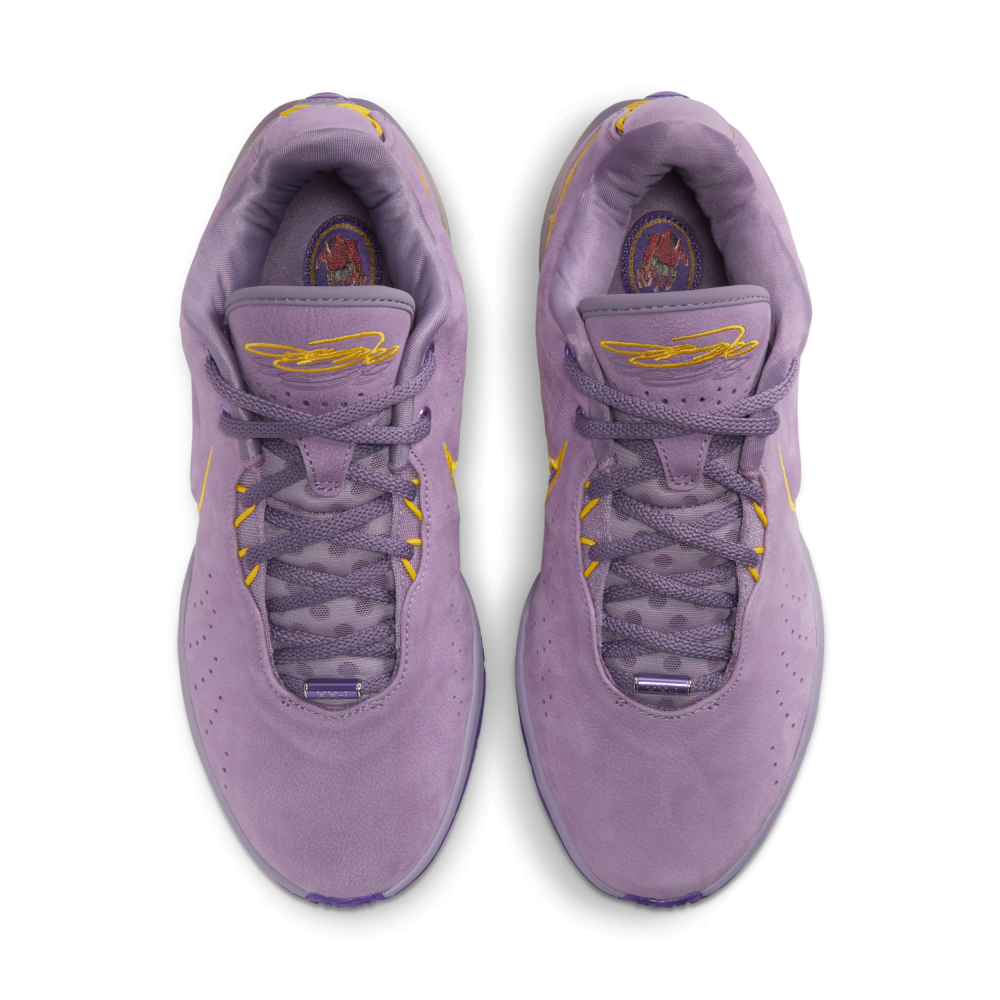 Nike LeBron XXI FV2345-500 / lila