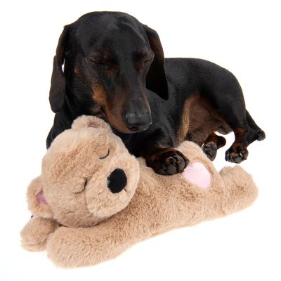 Hundespielzeug Mr. Snugglez