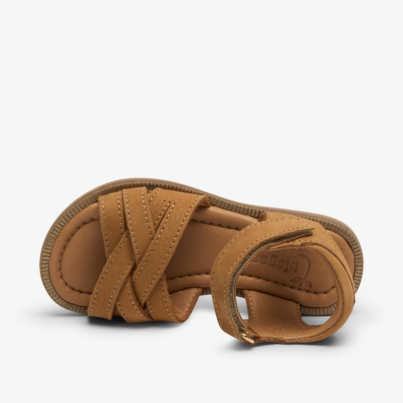 becca o cognac - Braun