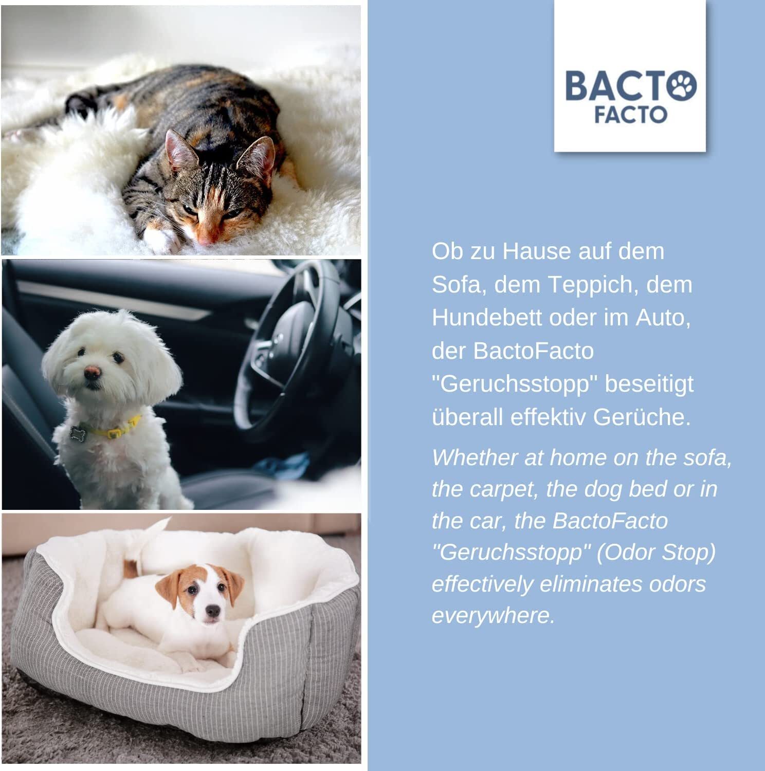 BactoFacto Windeln & Hygiene BactoFacto probiotischer Geruchsstopp Pads für 2 Liter