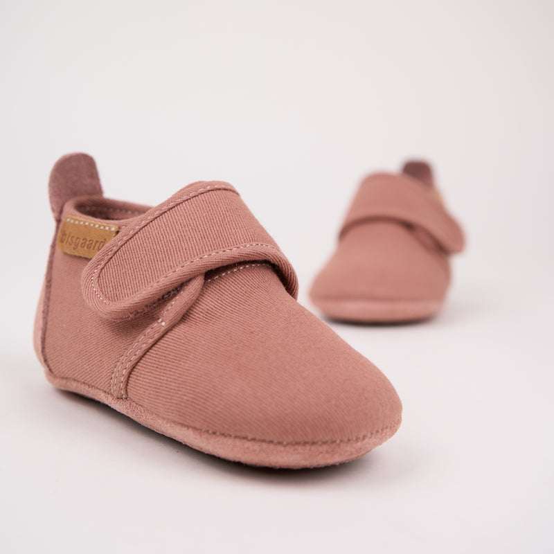 baby cotton rose - Rose