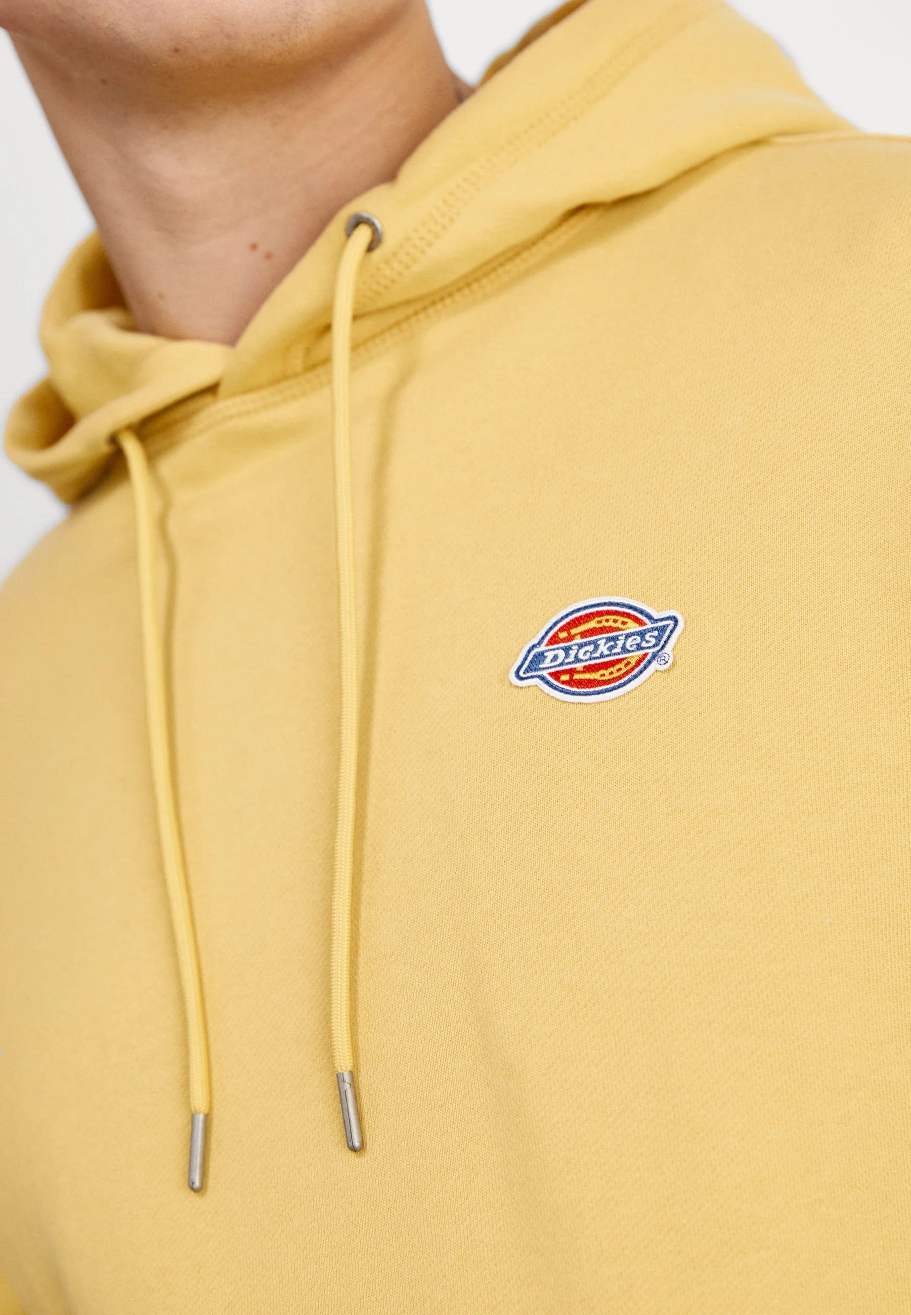 Sudadera con capucha Dickies Millersburg