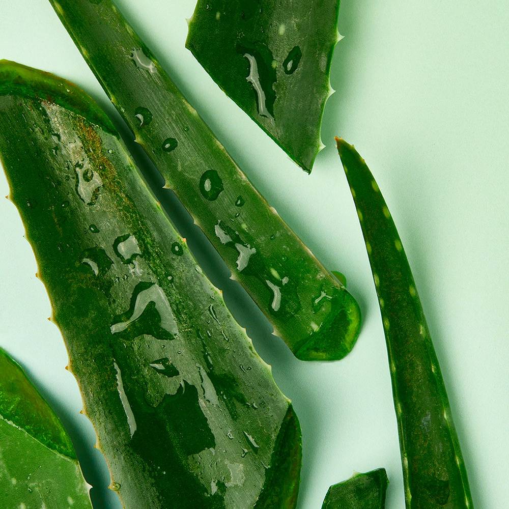 nivea Naturally good - Crème mains hydratanteà l'Aloe Vera 75ml Soin des mains