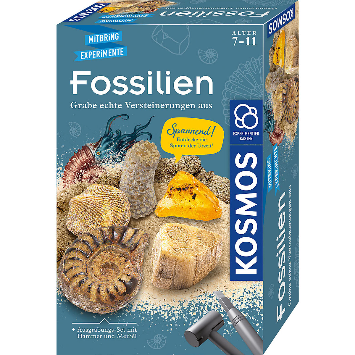 Ausgrabungs-Set Fossilien