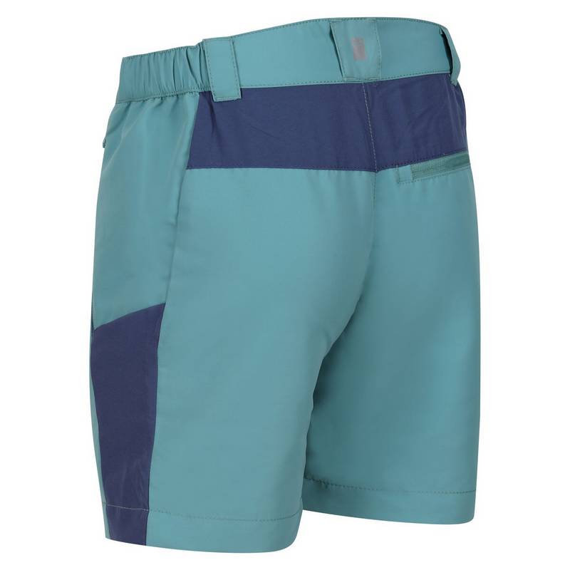 Regatta Sorcer Mountain III Shorts Kinder
