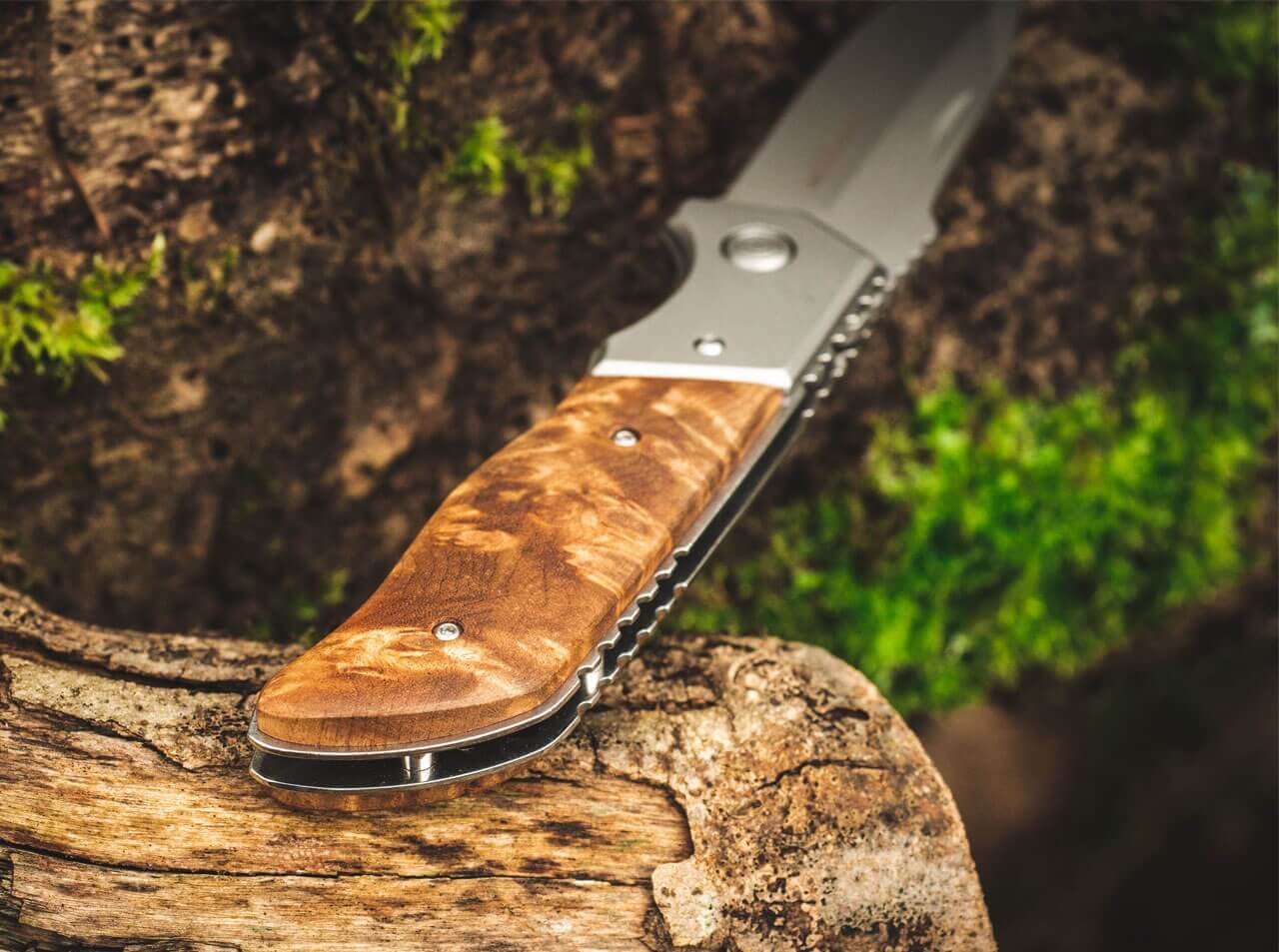 Forest Ranger 42