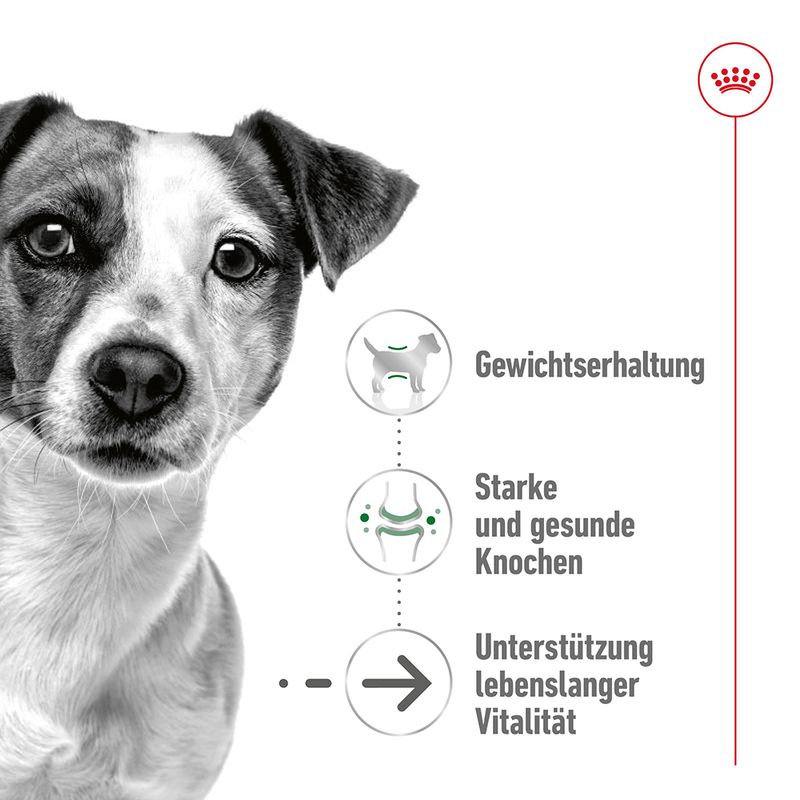 Royal Canin Mini Ageing 12+