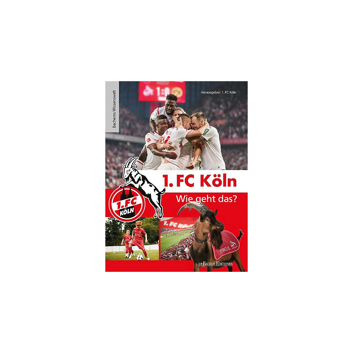 1. FC Köln - Wie geht das