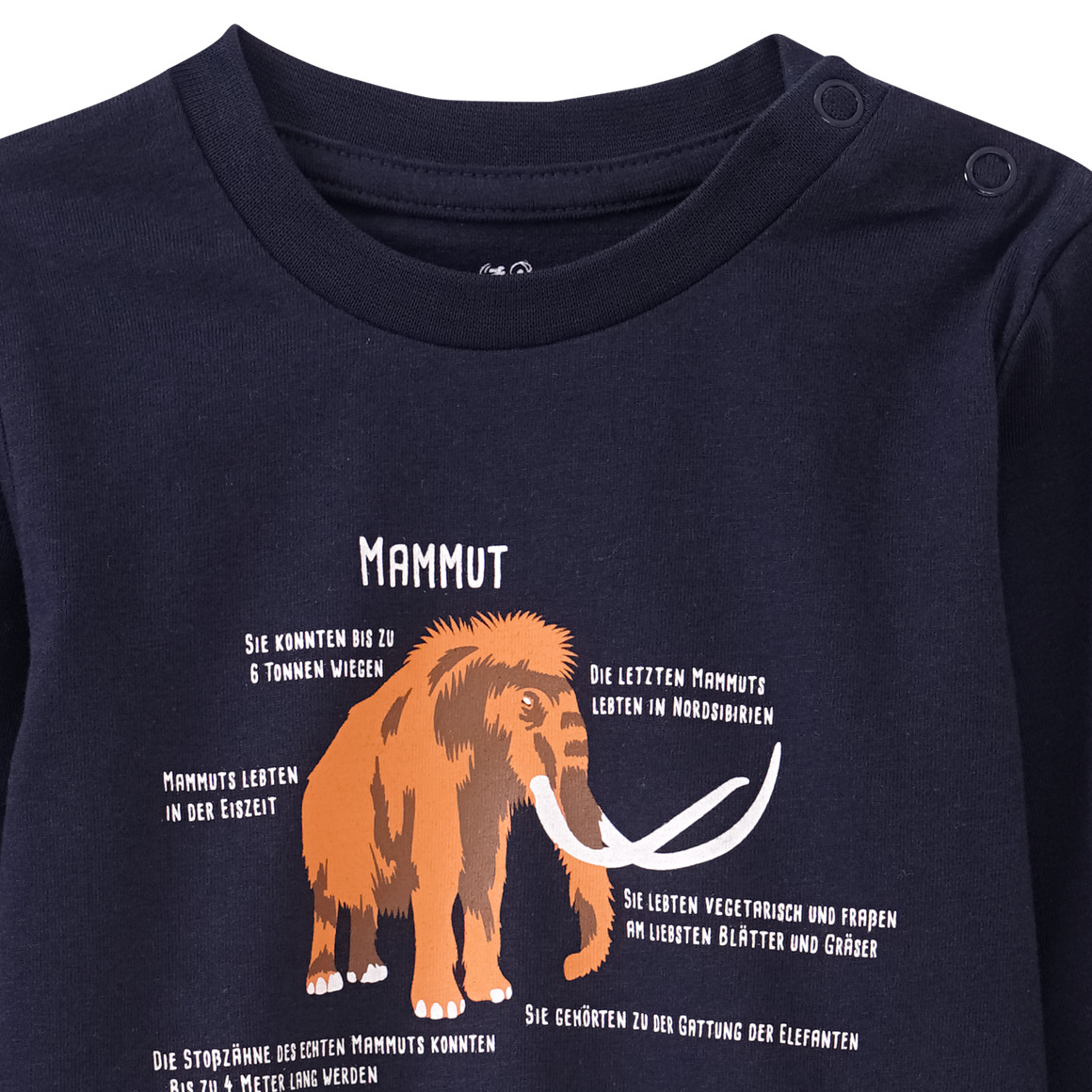 Baby Langarmshirt mit Mammut-Print